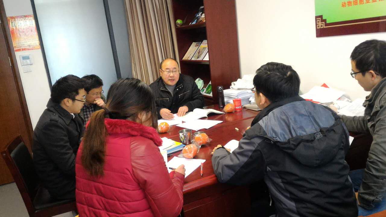 日韩人妻无码免费视频一区二区三区