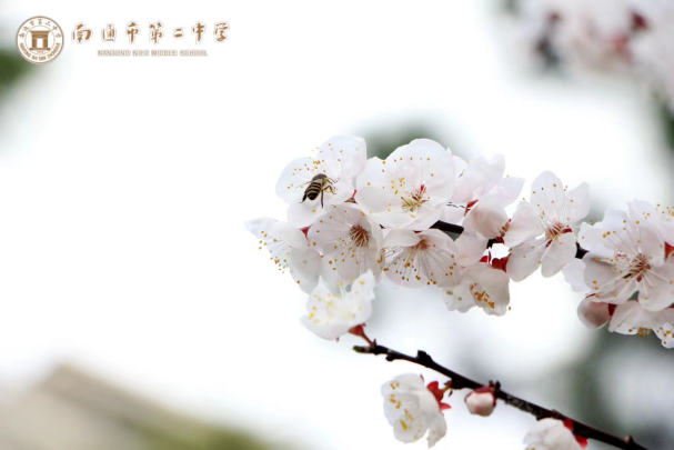 390298f8a20b42e4ab08eca5cc35a993.Png