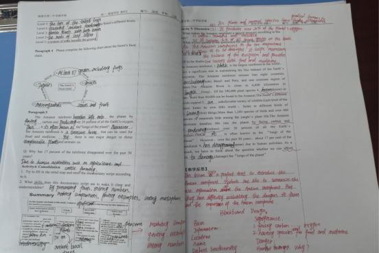 00d072f68c974d9283efa16343c5a933.png