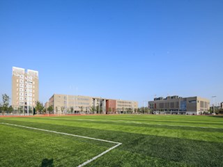 书香文韵，绿草茵茵